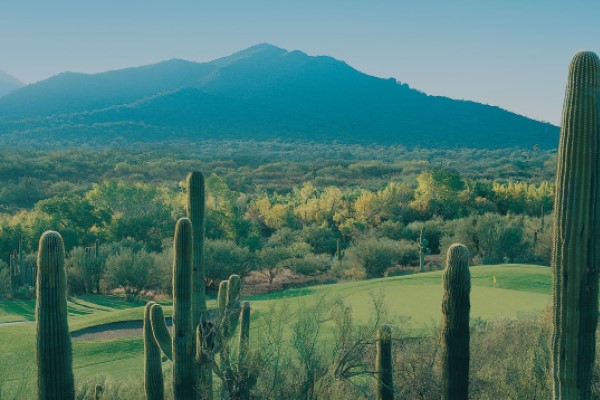 Scottsdale Golf Stealaway